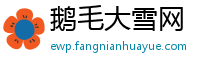 鹅毛大雪网